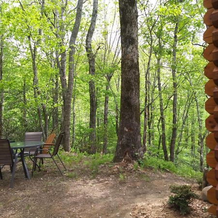 Two Rivers Cabins - The Mountaintop بريفارد المظهر الخارجي الصورة