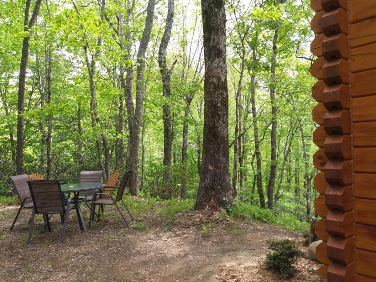 Two Rivers Cabins - The Mountaintop بريفارد المظهر الخارجي الصورة